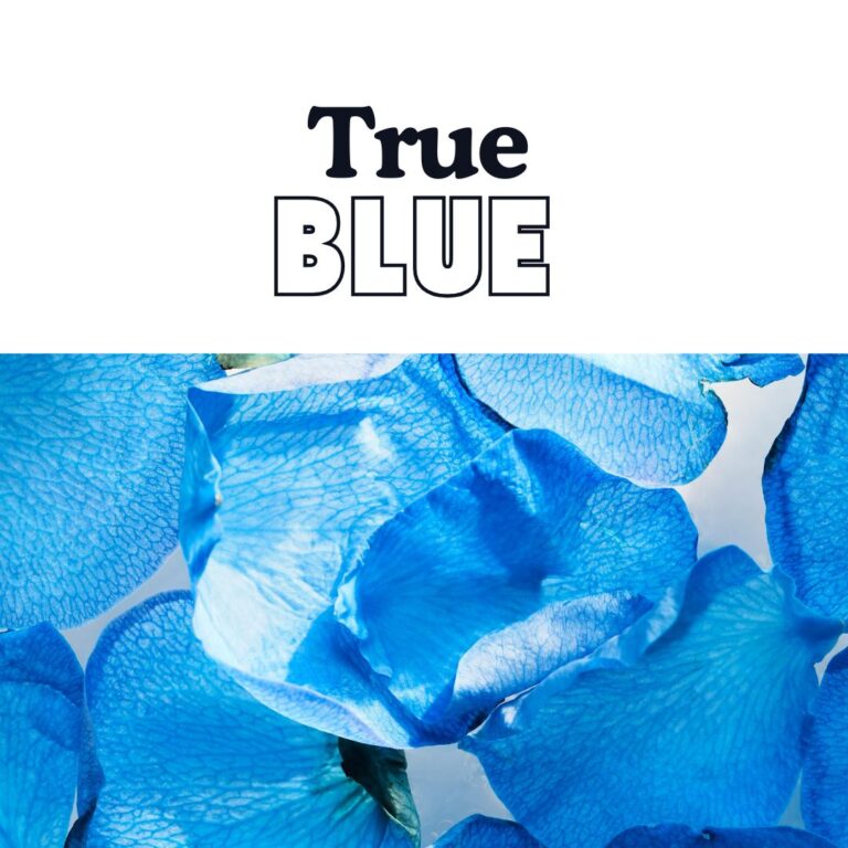 True Blue International Art Competition